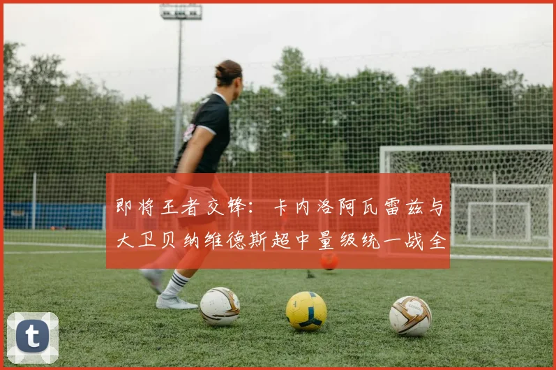 即将王者交锋：卡内洛阿瓦雷兹与大卫贝纳维德斯超中量级统一战全维度前瞻
