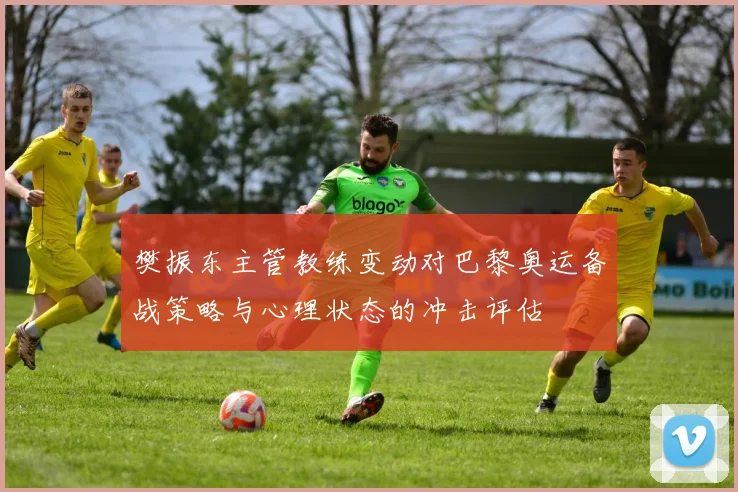 樊振东主管教练变动对巴黎奥运备战策略与心理状态的冲击评估